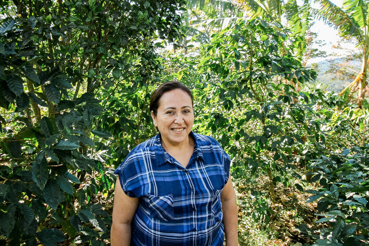 The Heartbeat of Alexa's Farm: A Tale of Women, Resilience, and Exceptional Coffee