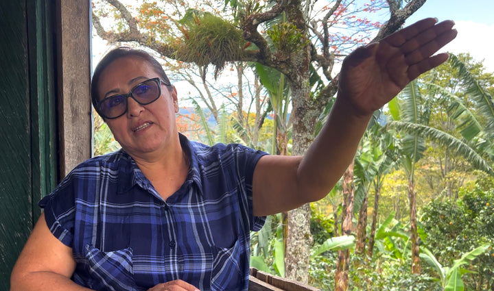A Story of Empowered Women in Coffee Farming: Alexa's Leadership at Prodecoop