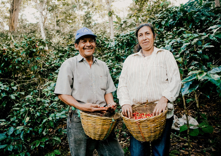 Farmer owners of Pachamama Coffee in Nicaragua