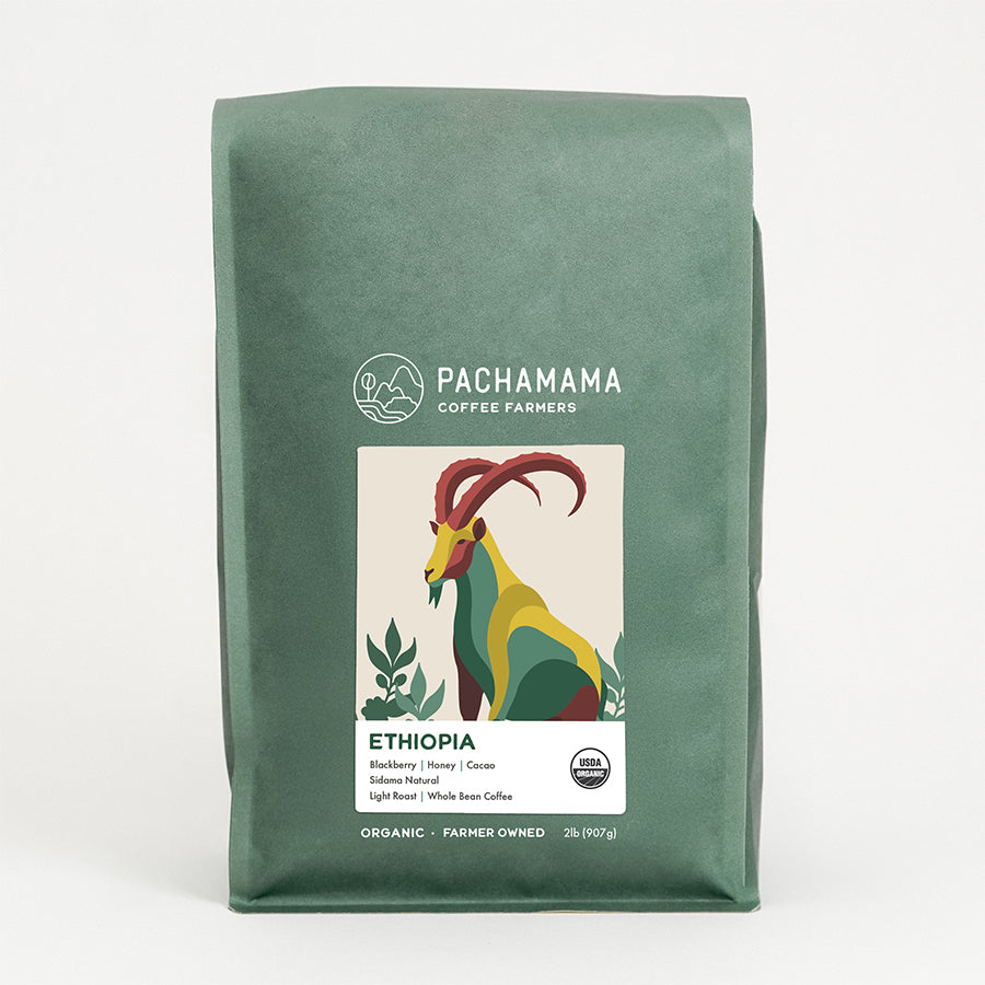 センペルビウム Pachamama Pachamama Coffee Beans from Ethiopia | Organic Light Roast