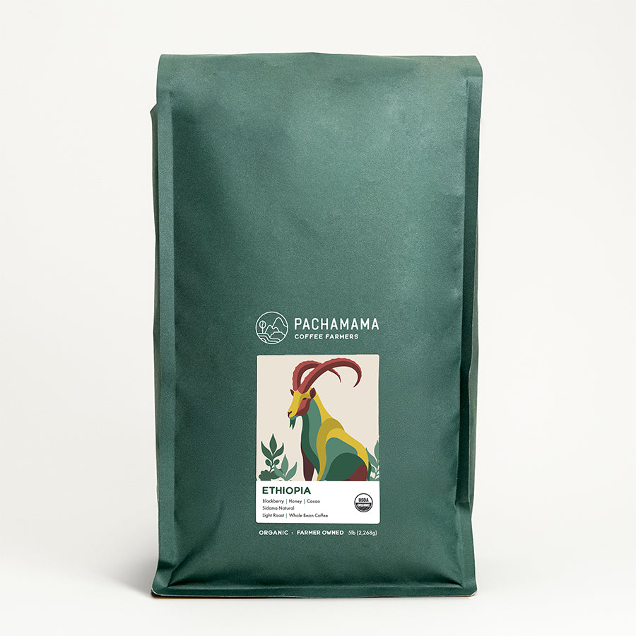 Pachamama Coffee Beans from Ethiopia | Organic Light Roast
