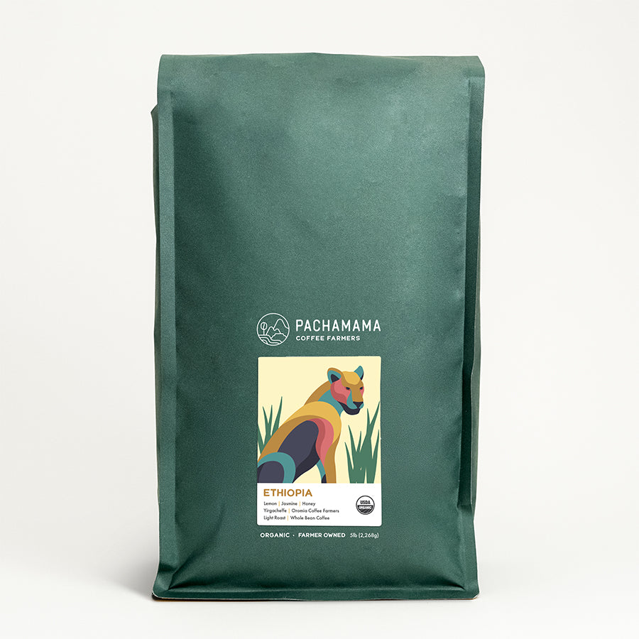 センペルビウム Pachamama Pachamama Ethiopian Coffee | Organic Light Roast Beans | Direct