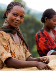 ETHIOPIA-SIDAMA-organic-coffee-farmer-direct-trade