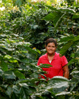 FRENCH-ROAST-organic-coffee-farmer-direct-trade