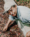 MACHU-PICCHU-organic-coffee-farmer-direct-trade