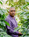 Coffee farmer standing among coffee plants in México