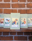 Pachamama World Tour - Set of five 10 oz bags of coffee from each of our farmer-owned cooperatives