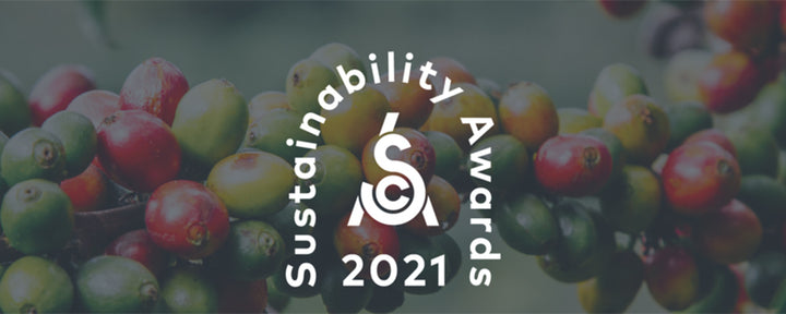 2021 SCA Sustainability Awards