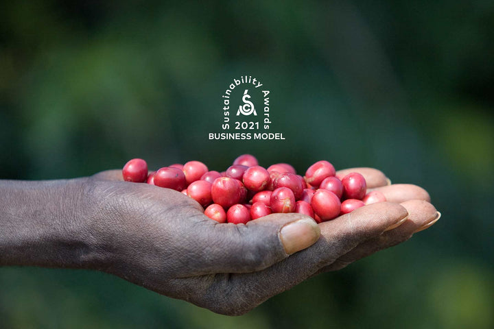 Pachamama Coffee Wins the SCA's Sustainability Award for Business Model