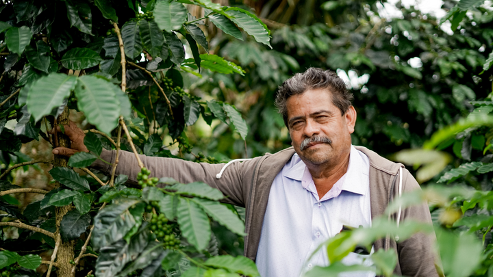 UNCERTAIN TIMES - STABLE PRICES | Why Prepaid Coffee is Good for Farmers and for Consumers