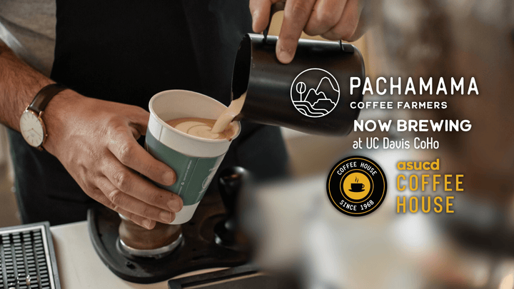 Pachamama Coffee Partners with UC Davis to Bring Organic, Farmer-Owned Coffee to Campus