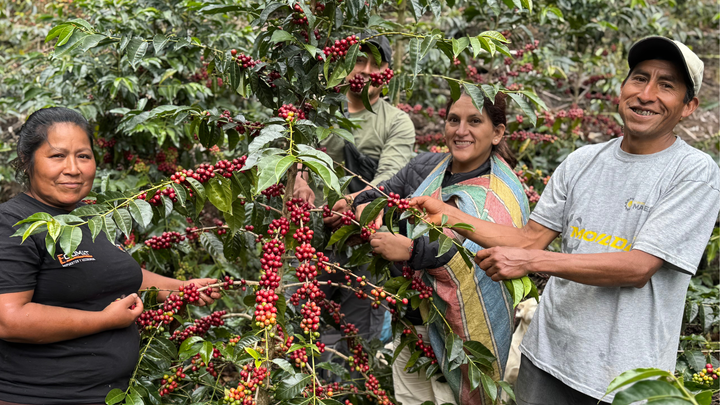 The Farmers Behind the Flavor | COCLA Perú