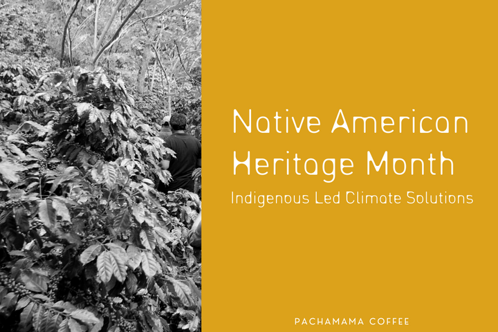 Native American Heritage Month | Indigenous Led Climate Solutions + COP26