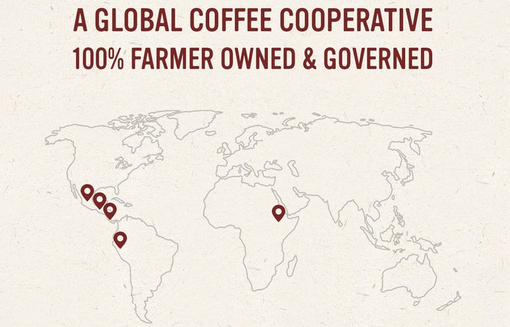 Pachamama Is a Global Coffee Cooperative 
