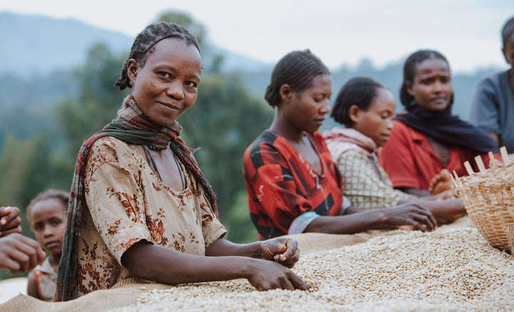 ethiopian coffee farmer