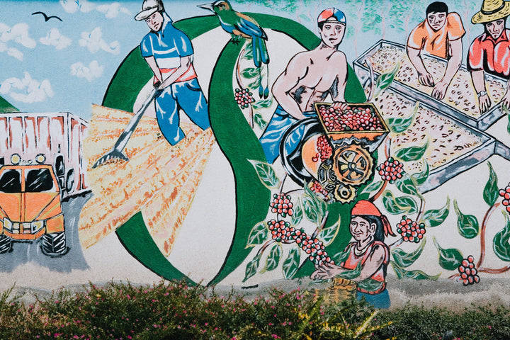 mural depicting coffee harvest and production