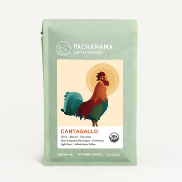 Cantagallo - Organic Coffee