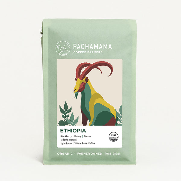 Pachamama Coffee Beans from Ethiopia | Organic Light Roast
