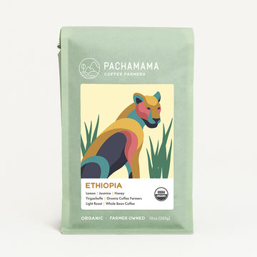 10oz-ETHIOPOA-YIRGACHEFFE-light-roast-organic-coffee-beans