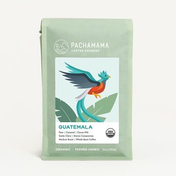 10oz-GUATEMALA-medium-roast-organic-coffee-beans