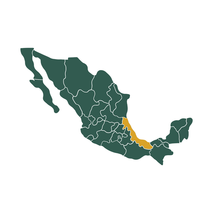 Map of Mexico with Veracruz region highlighted