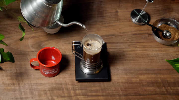 Mastering the Art of Pulling Espresso Shots at Home: A Quick Guide to –  Pachamama Coffee