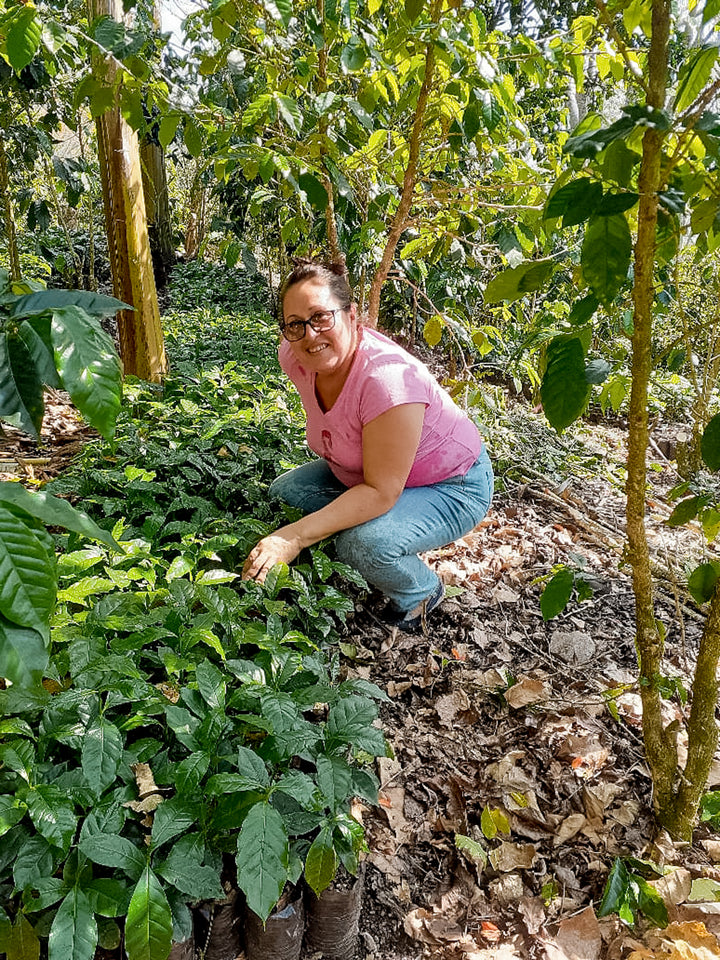 woman coffee farmer posing in front of coffee tree seedlings