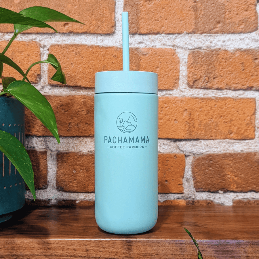 Fellow Carter Cold Brew Tumbler with Straw 16 oz | Rabbit