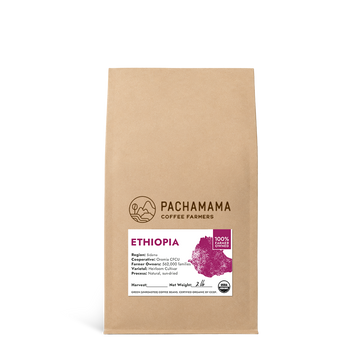 Ethiopia Sidama - Organic Green Coffee Beans