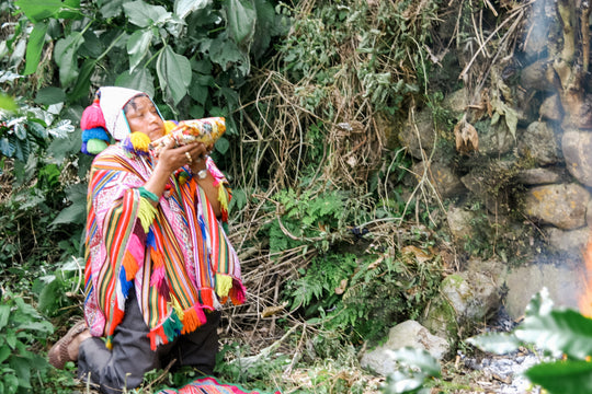 Inca shaman in Peru preforms Kintu offering for Dia de Pachamama