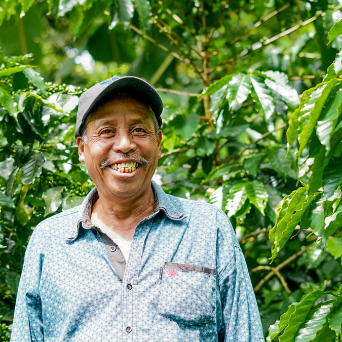 Decaf México - Organic Coffee | Medium Roast | Direct Trade