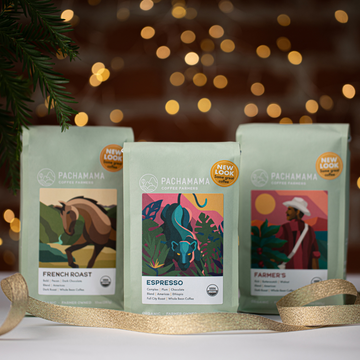 Dark Roast Trio | 10oz Whole Bean Coffee