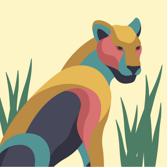 digital image of a lioness in the grass