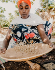Ethiopia Sidama - Organic Green Coffee Beans