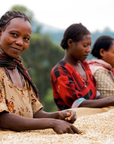 Ethiopia Yirgacheffe - Organic Green Coffee Beans