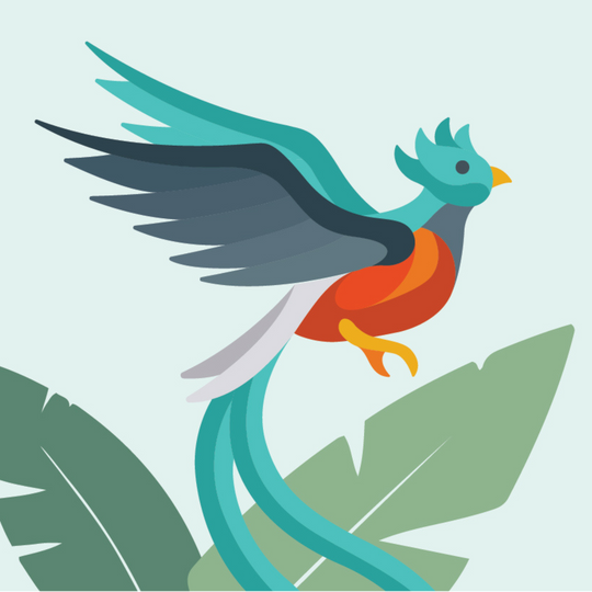 digital image of the Guatemalan national bird, quetzal