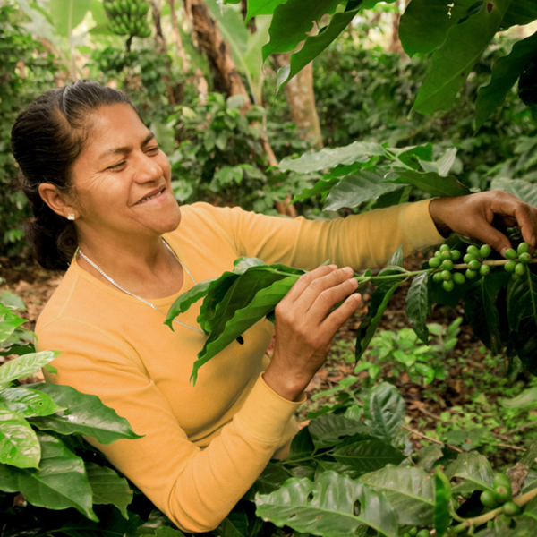 Pachamama Coffee