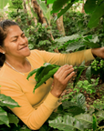Inca Mountain - Organic Coffee Blend