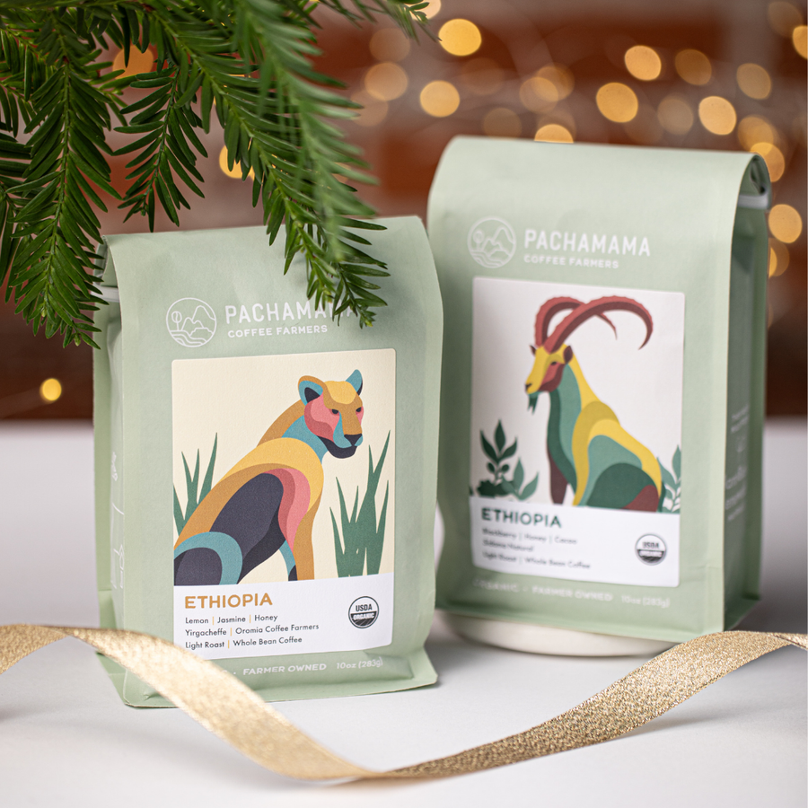 Organic Coffee Gift Bundle | Two 10oz Bags in Gift Box
