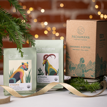 Organic Coffee Gift Bundle | Two 10oz Bags in Gift Box