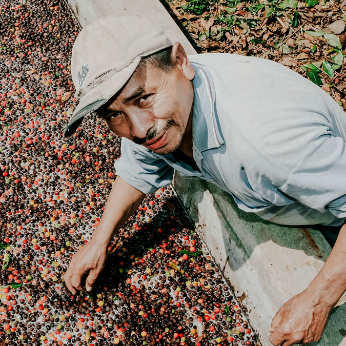 MACHU-PICCHU-organic-coffee-farmer-direct-trade