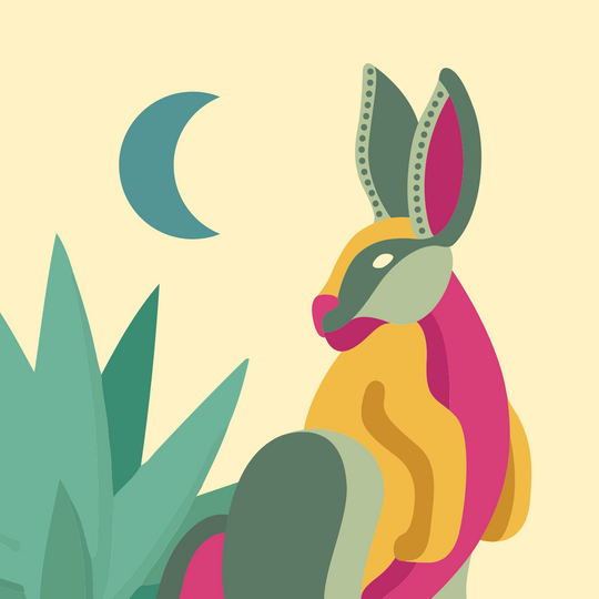 digital image of rabbit 