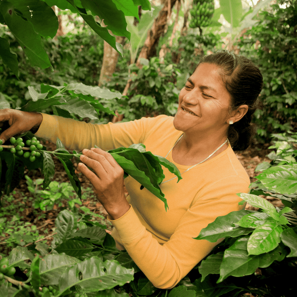 Nicaragua