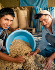 Perú - Green Coffee Beans Regenerative Organic Certified