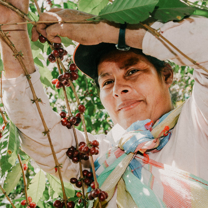PERU-organic-coffee-farmer-direct-trade