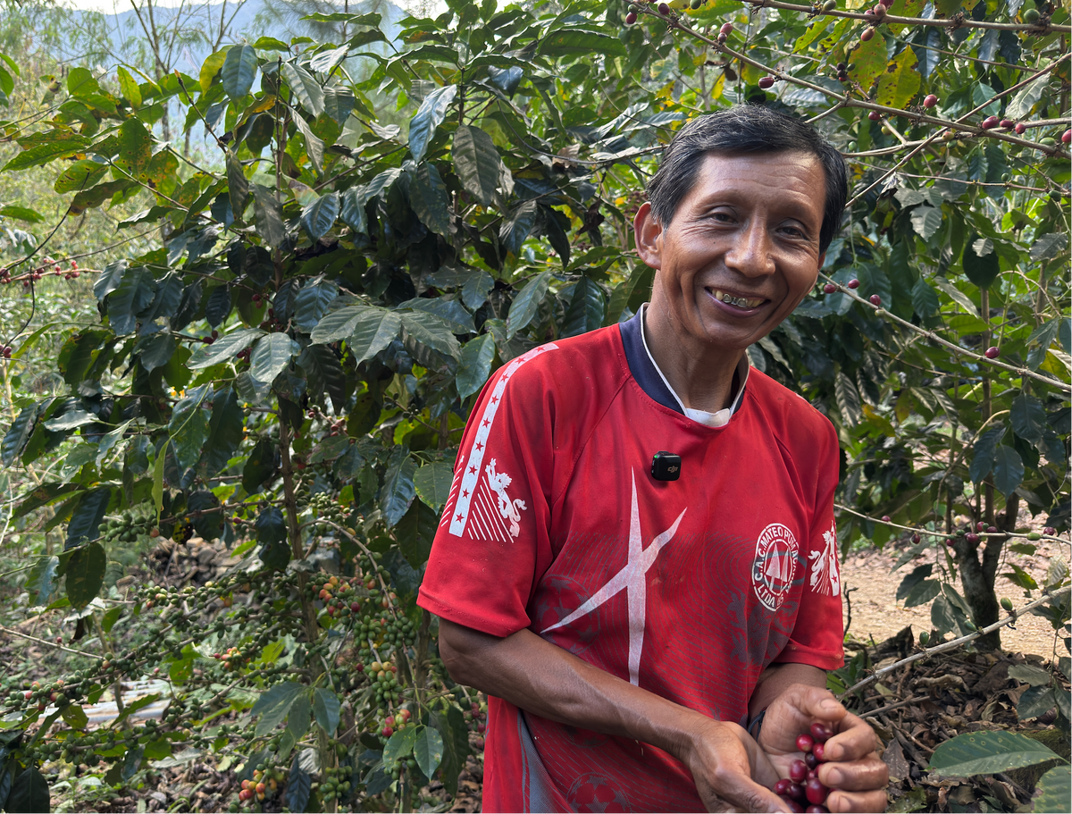 Pachamama Coffee