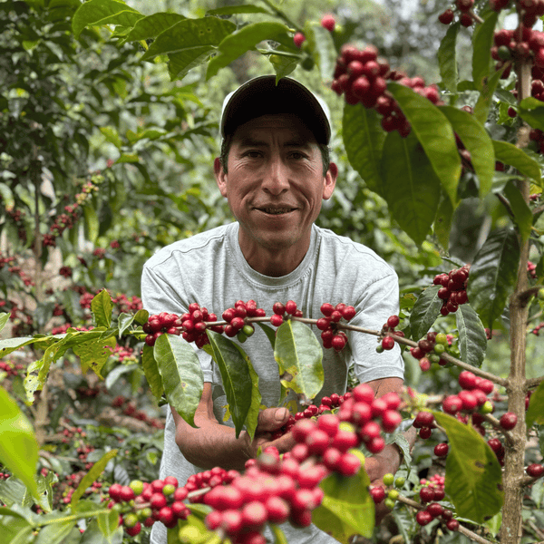 Pachamama Coffee