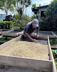 Nicaragua - Organic Green Coffee Beans