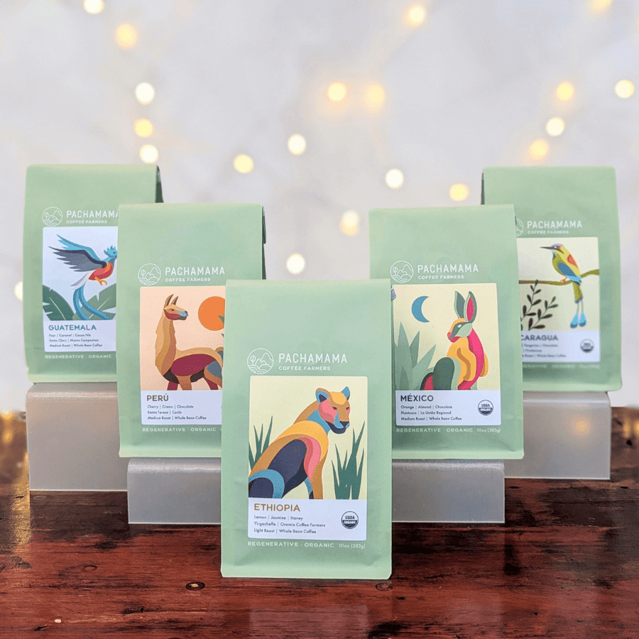 Origin World Tour Gift Set | Holiday 2024 | Single Origin Organic Coffee Beans