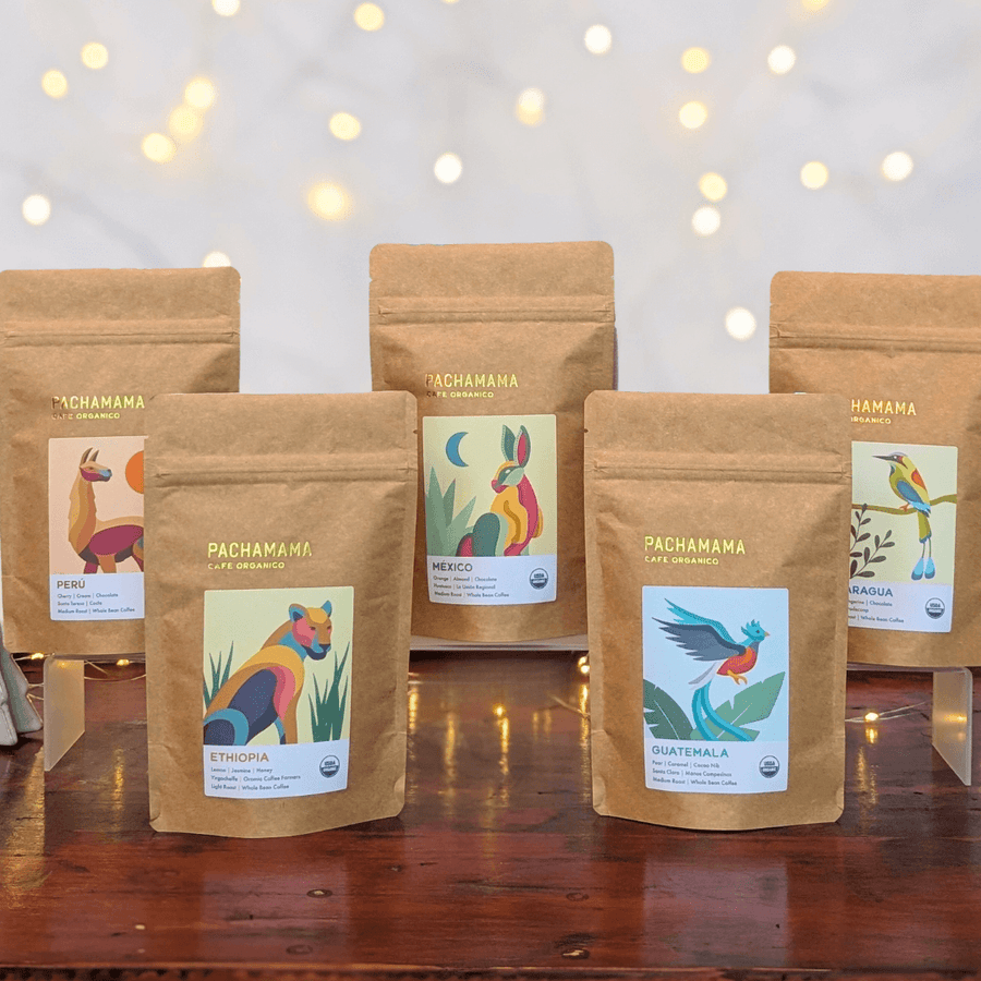 Origin World Tour Gift Set | Holiday 2024 | Single Origin Organic Coffee Beans